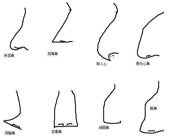 外貌与命运：长相决定待遇，智商决定选择