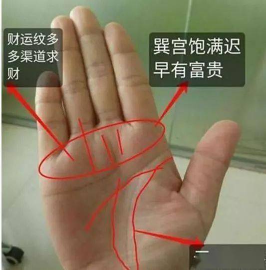 手相财富纹如何看？手纹算命图解，解读你的财运运势