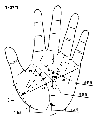 女人手相图解：生命线、智慧线、感情线等五大线纹详解